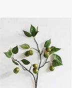 Home Modern Minimalist Elegant & Functional Interior Design Essentials