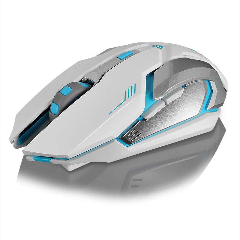 Wireless Rechargeable Mouse -Silent, Slim & Portable with USB Receiver