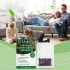 Indoor Home Air Purification System Quiet & Effective for Home, Office